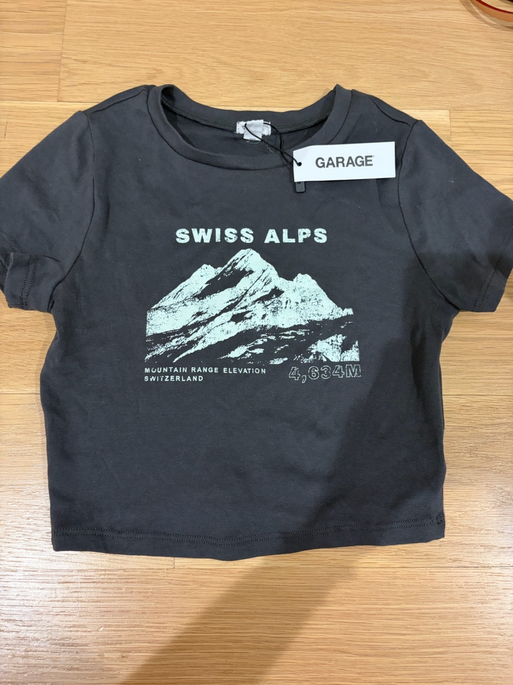 Garage Black Swim Tee with Mint Swiss Alps Graphic